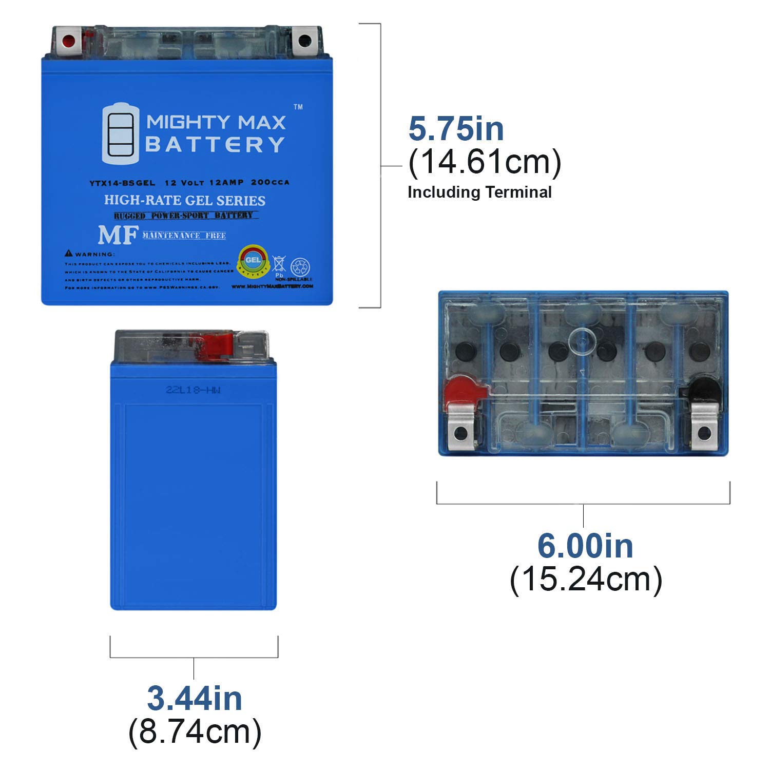 Mighty Max YTX14-BSGEL 12V Gel Battery Replacement for Neptune ETX14 - Includes 2A Charger | Powers Scooters, ATVs & Motorcycles | Weatherproof & Maintenance-Free