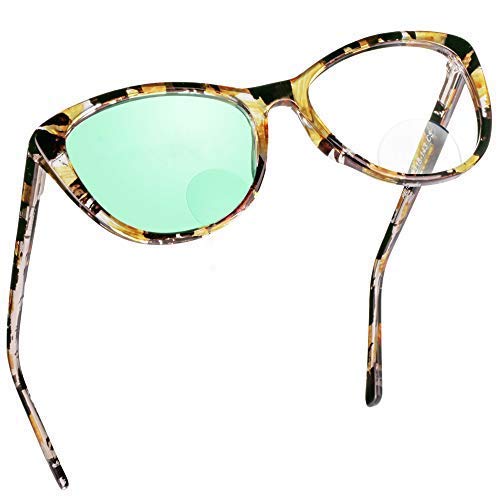 Sg_p8019_c5_tortoise