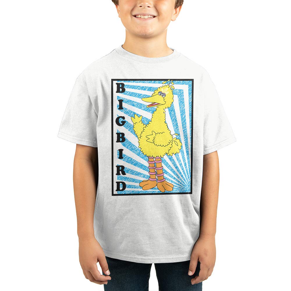 Youth Boys Big Bird Sesame Street T-Shirt - Cute Cartoon Character Apparel for Kids - Perfect for Birthday Parties, School Events & Casual Wear