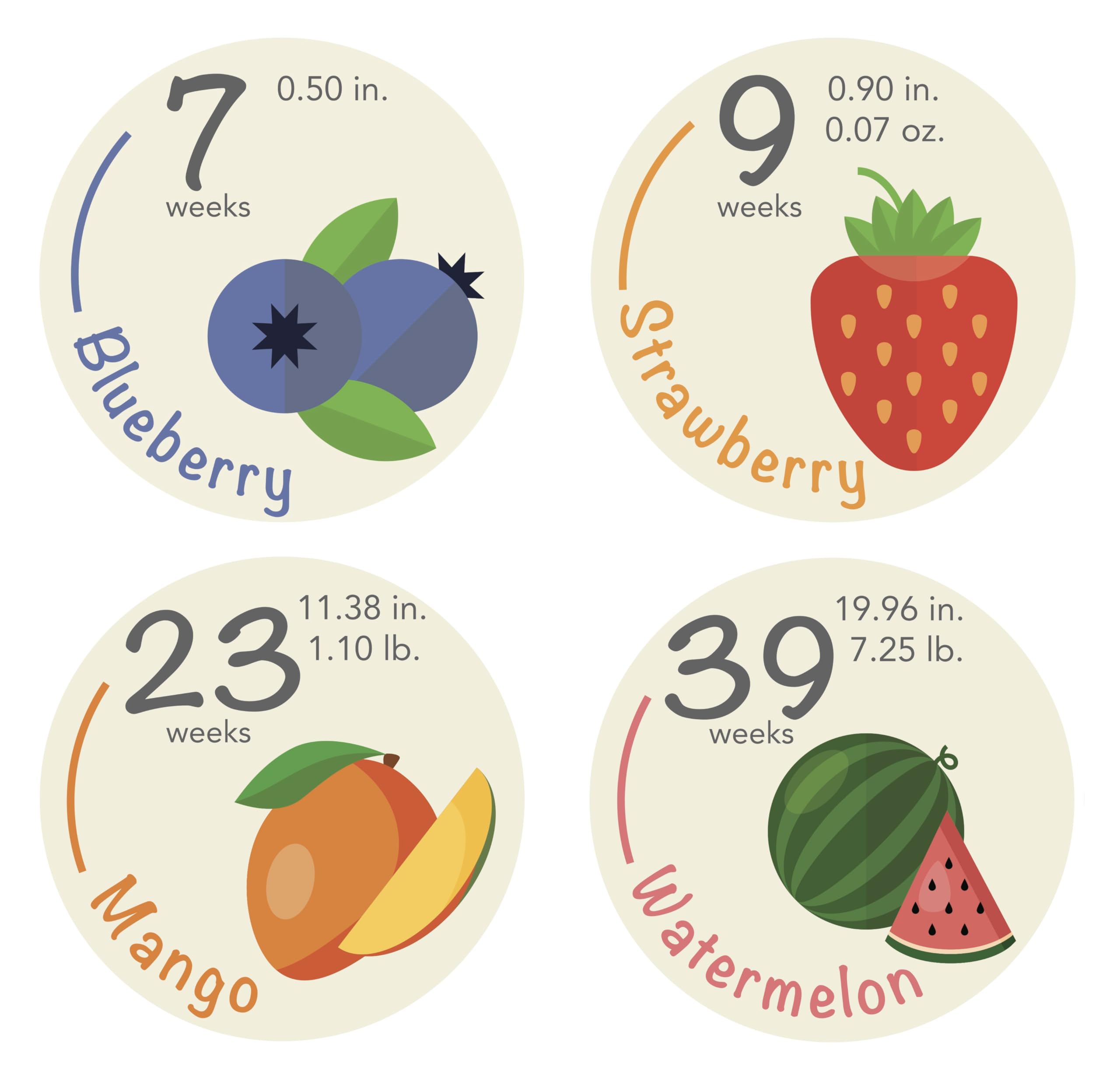 40 Pack Weekly Pregnancy Bump Stickers - Baby Growth Tracking Stickers from Week 5 to 40 with 4 Bonus Stickers - 3.93 Inch Fruit-Themed Photo Props for Maternity Belly Photos - Perfect for Pregnancy Journals, Baby Showers & Gender Reveals (Off White)