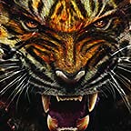 Great Tiger