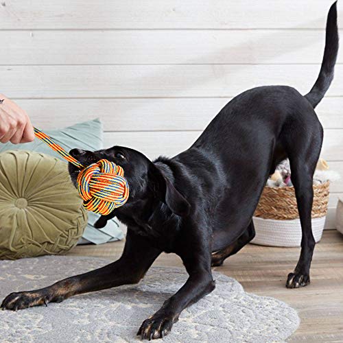 Youngever 6 Pack Large Dog Rope Toys - Durable Chew Toys for XL Dogs - Interactive Play & Dental Health - Perfect for Fetch, Tug of War & Aggressive Chewers