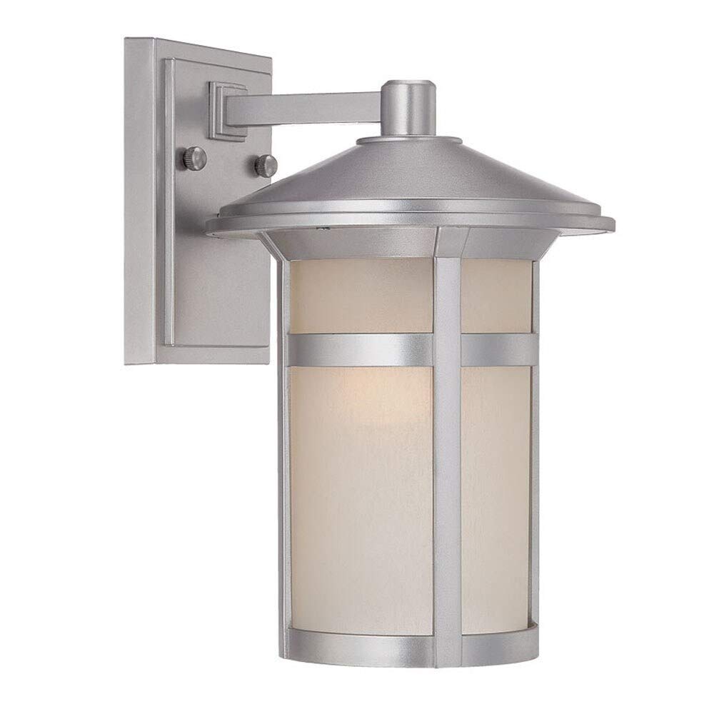 Acclaim 39102BS Phoenix Collection 1-Light Brushed Silver Outdoor Wall Sconce - Weatherproof Exterior Lighting for Porch, Patio & Entryway