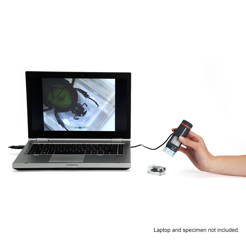 Celestron 44302 Deluxe Handheld Digital Microscope with 2MP Camera - Perfect for Coin Collecting, Jewelry Inspection & Science Education