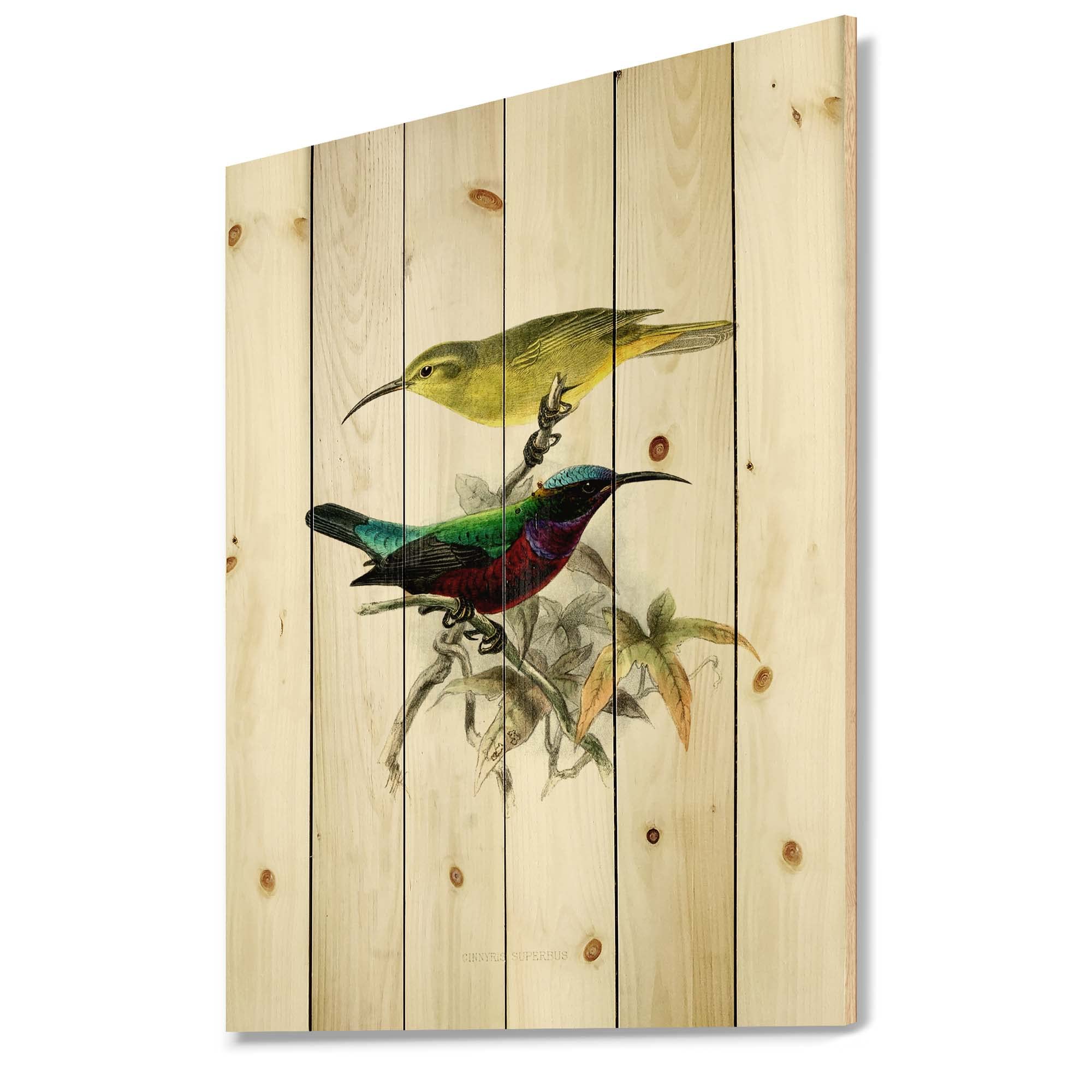 Vintage Australian Birds Traditional Wood Wall Decor - Yellow Wood Wall Art, Large Animal Wood Panels Printed on Natural Pine - Perfect for Living Room, Bedroom & Office Decor