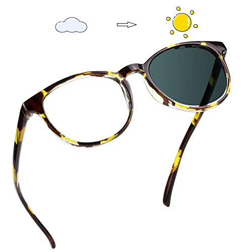 03-1401 Tortoise Gray