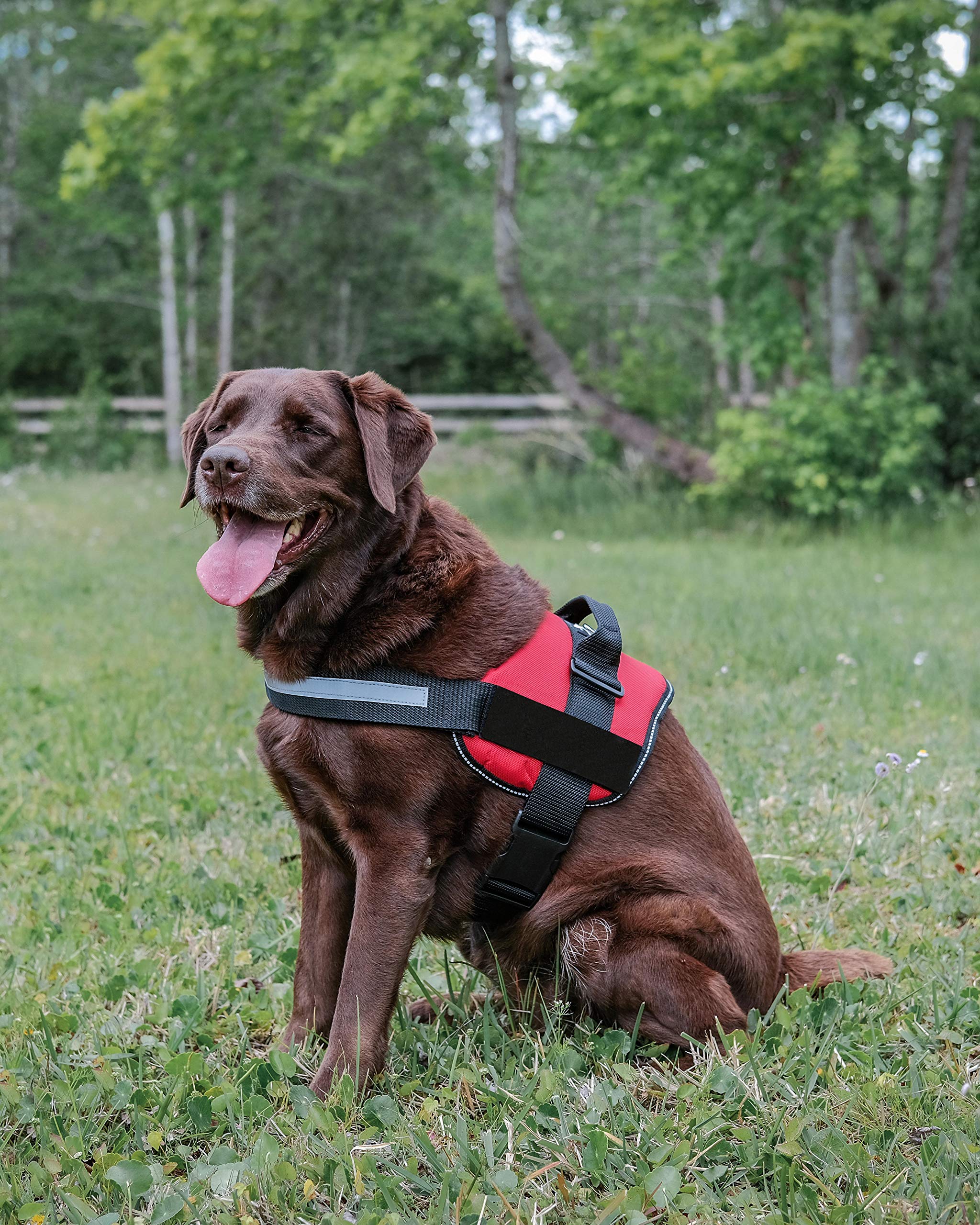 No Pull Dog Harness for Small & Large Dogs - Adjustable Reflective Pet Harness with Hook (XS, 16.5-21.5