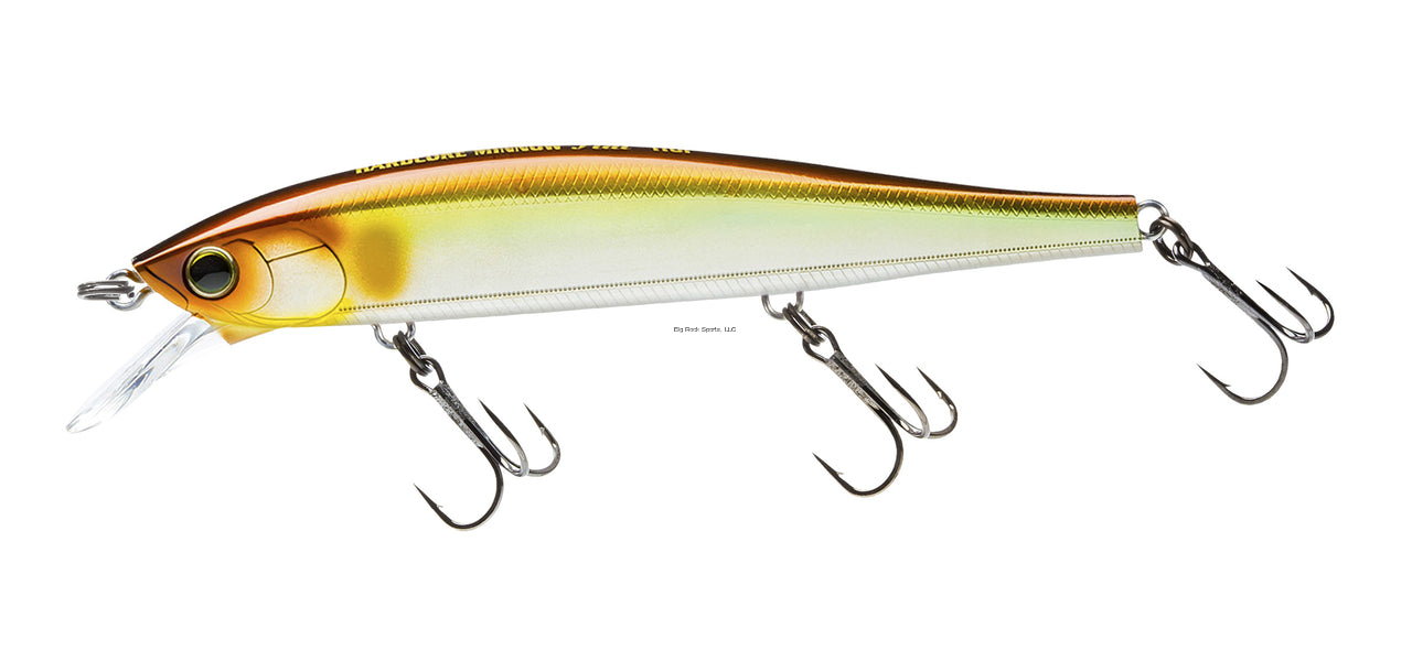 Golden Shiner