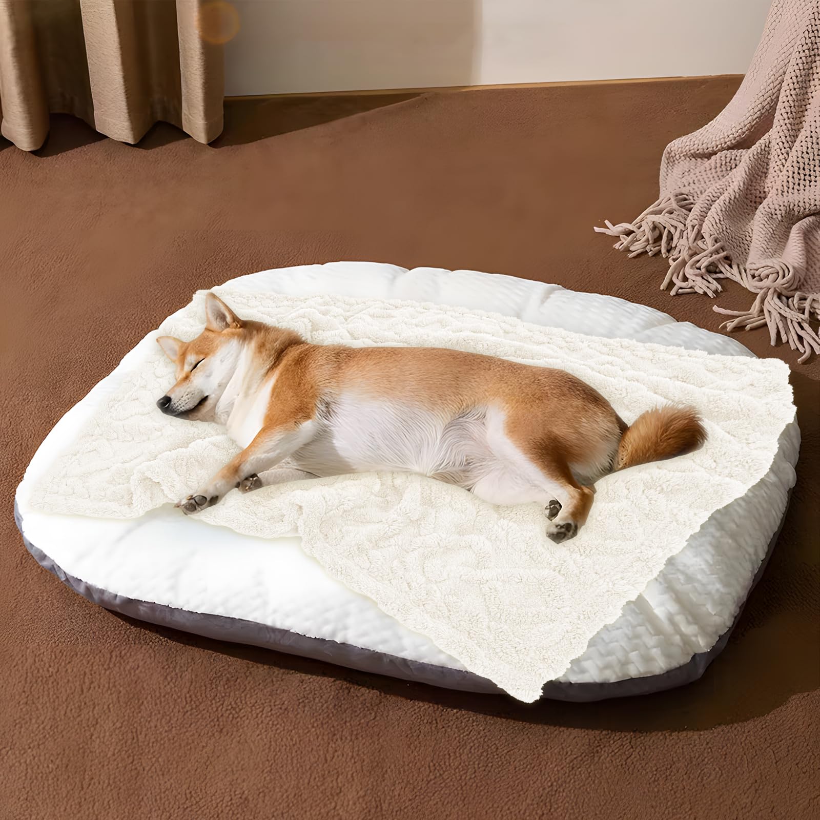 MACEVIA Fluffy Fleece Dog Blanket - Ultra Soft Warm Pet Blanket for Small Medium Large Dogs & Cats - Cozy Plush Throw for Bed, Couch, Sofa & Travel - Perfect for Winter Nights & Cuddling (24x29 Inches, Beige)