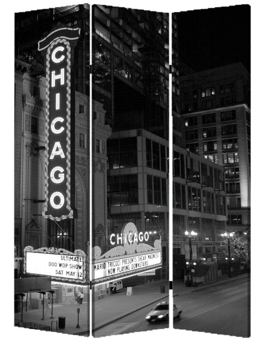 Chicago Room Divider Screen - 6ft Tall Folding Privacy Partition for Home & Office - Perfect for Room Separation, Dorm Dividers, and Event Spaces