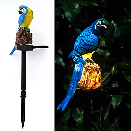 Blue Parrot Decor