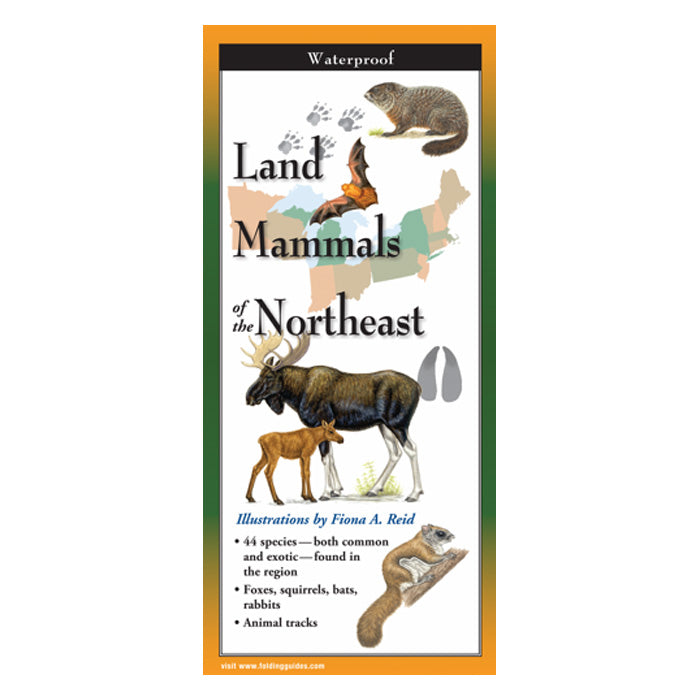 Northeast Land Mammals Identification Guide - Waterproof Folding Pocket Chart for Hiking, Camping & Wildlife Watching