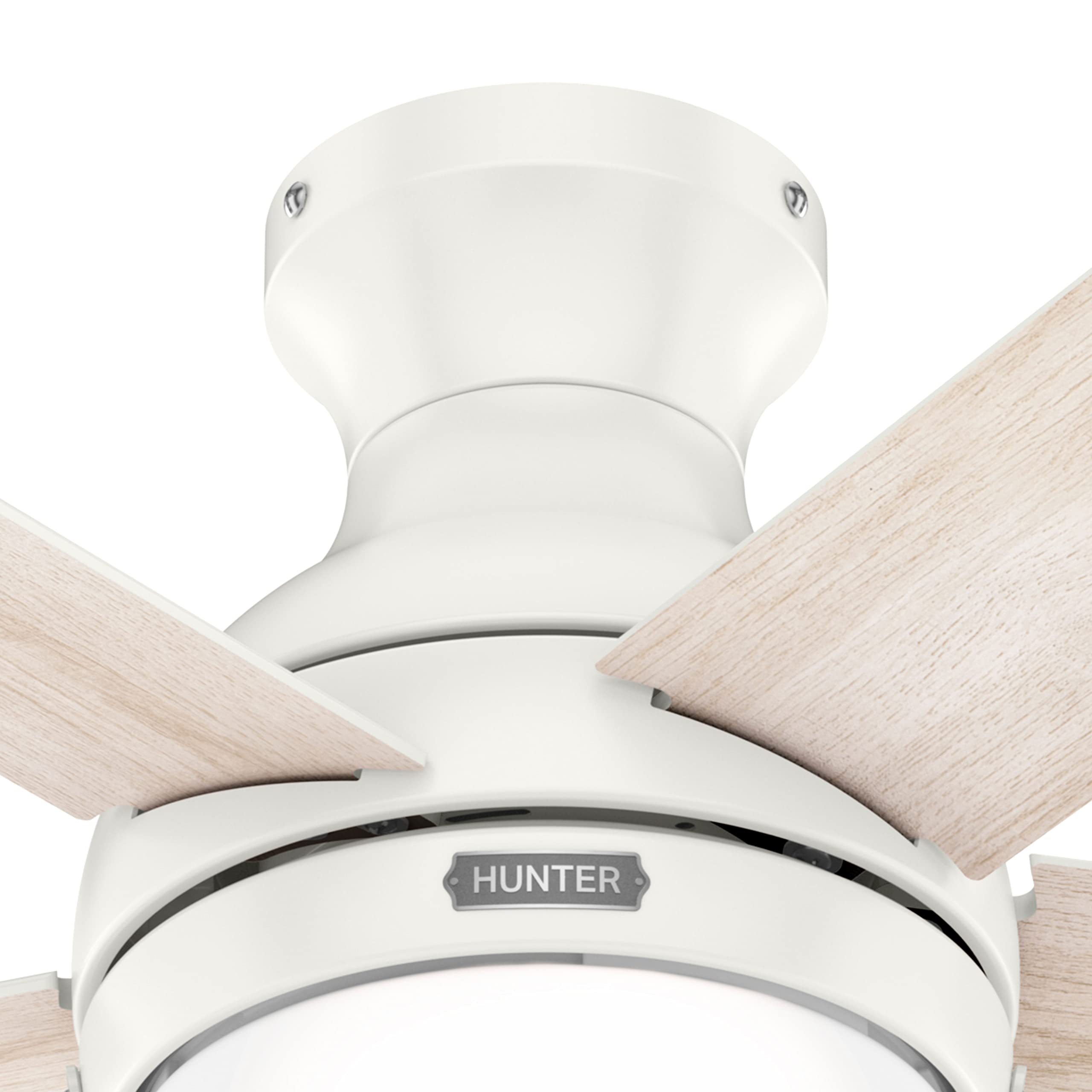 Hunter Fan 44 Inch Low Profile Fresh White Indoor Ceiling Fan with LED Light Kit and Pull Chain - Energy Efficient Quiet DC Motor - Perfect for Bedroom, Living Room, Office (Renewed)