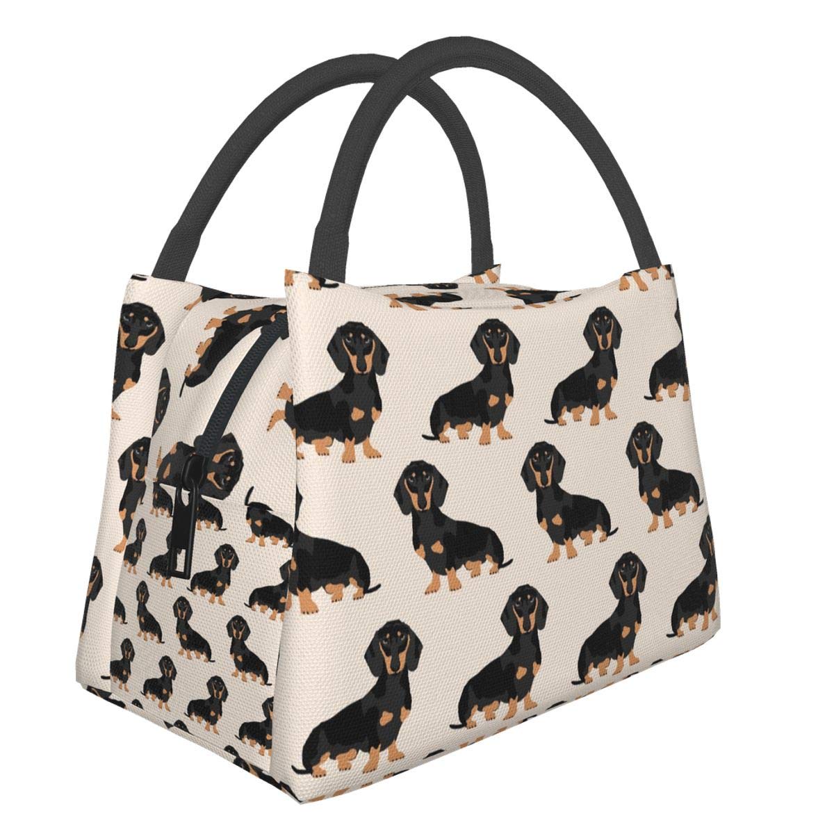 Insulated Reusable Lunch Bag for Dogs - Eco-Friendly Pet Food Container for Work, Picnic & Travel - Perfect for Men & Women