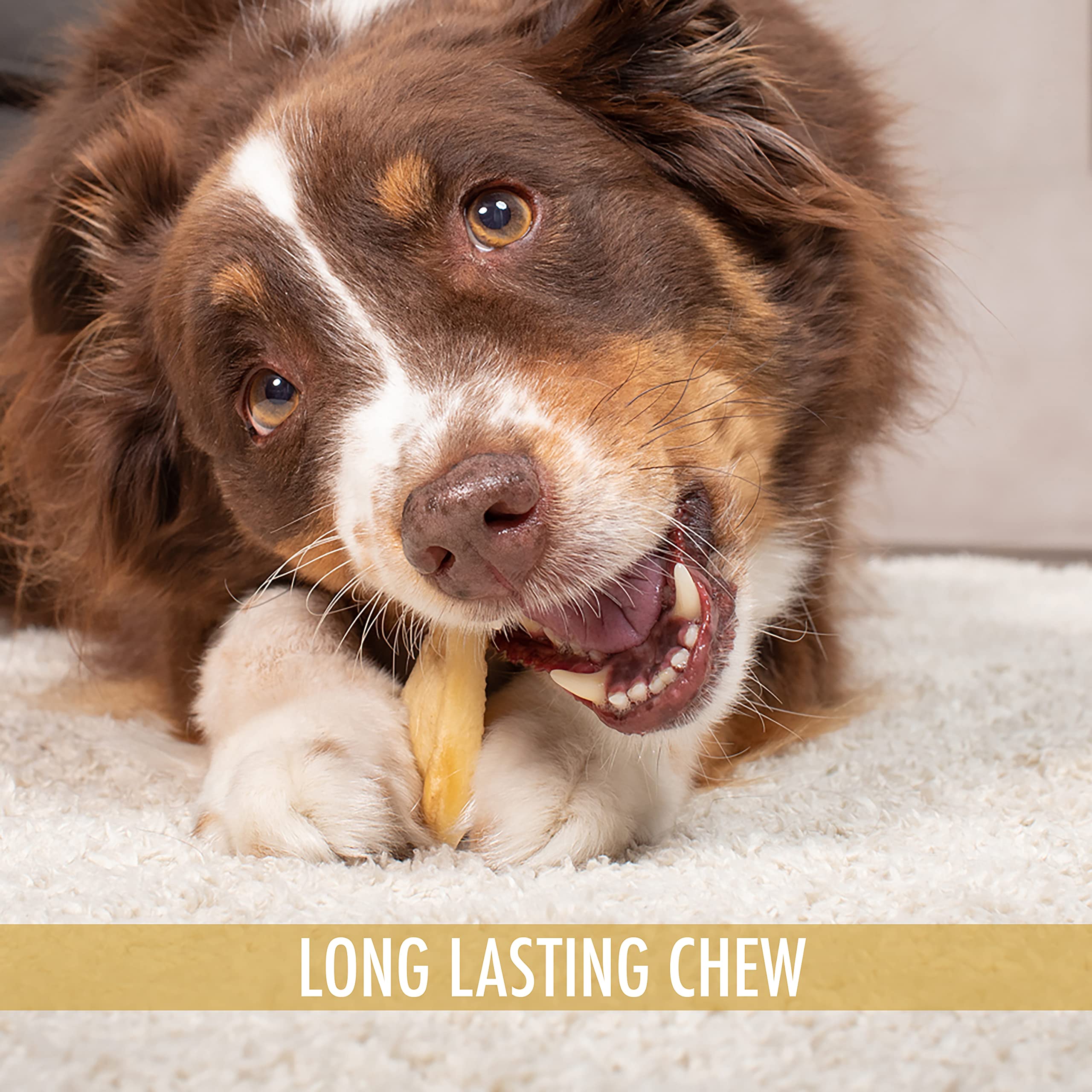 All Natural Water Buffalo Ear Dog Chews - 20 Piece Grain Free Treats for Dogs | Healthy Alternative to Pig Ears, Cow Ears & Rawhide | Perfect for Training, Teething & Dental Care