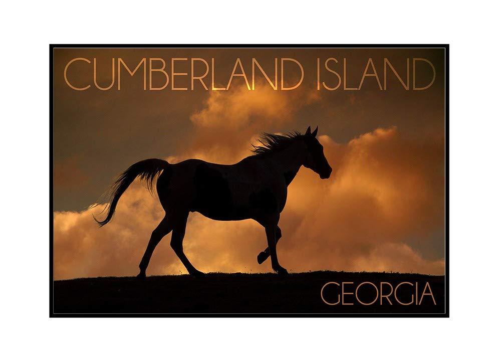 36x24 Framed Gallery Wrapped Stretched Canvas Art - Cumberland Island Georgia Sunset with Wild Horses Painting by James T. Jones - Perfect for Living Room, Bedroom or Office Wall Decor