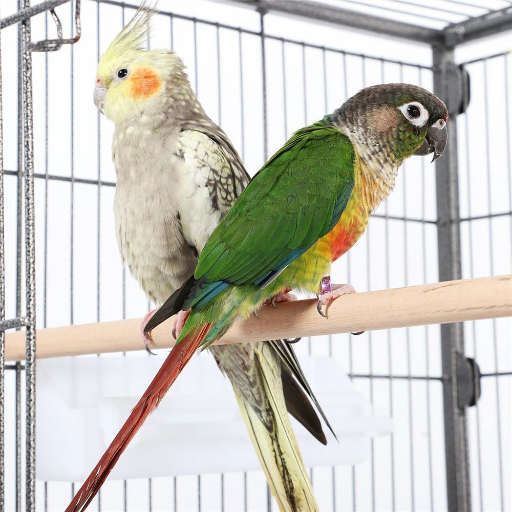 Yaheetech 52 Inch Large Bird Cage for Parrots, Cockatiels, Conures - Spacious & Durable Aviary for Home, Office, or Outdoor Use