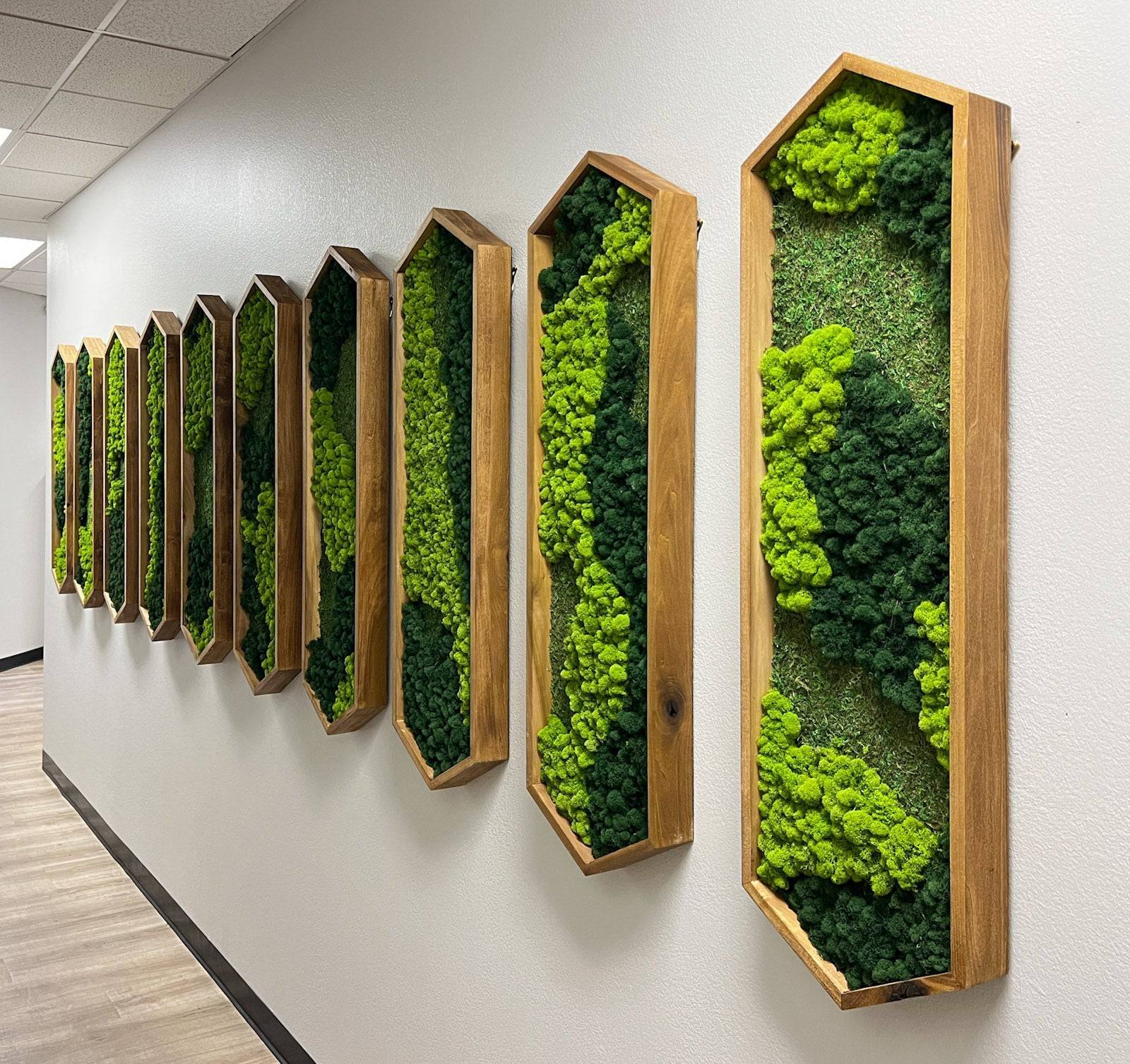 Hexagon Moss Wall Art - Modern Geometric Green Plant Decor for Living Room, Bedroom & Office - Eco-Friendly Home & Office Decoration