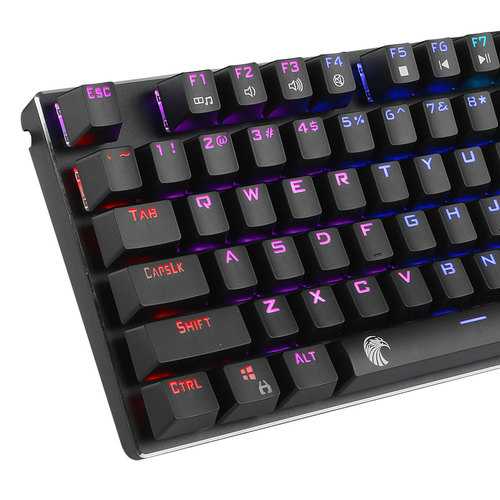 E element Z88 81-Key NKRO USB Wired RGB Backlit Mechanical Gaming Keyboard with Outemu Blue Switches - Perfect for PC Gaming, Typing & Office Work