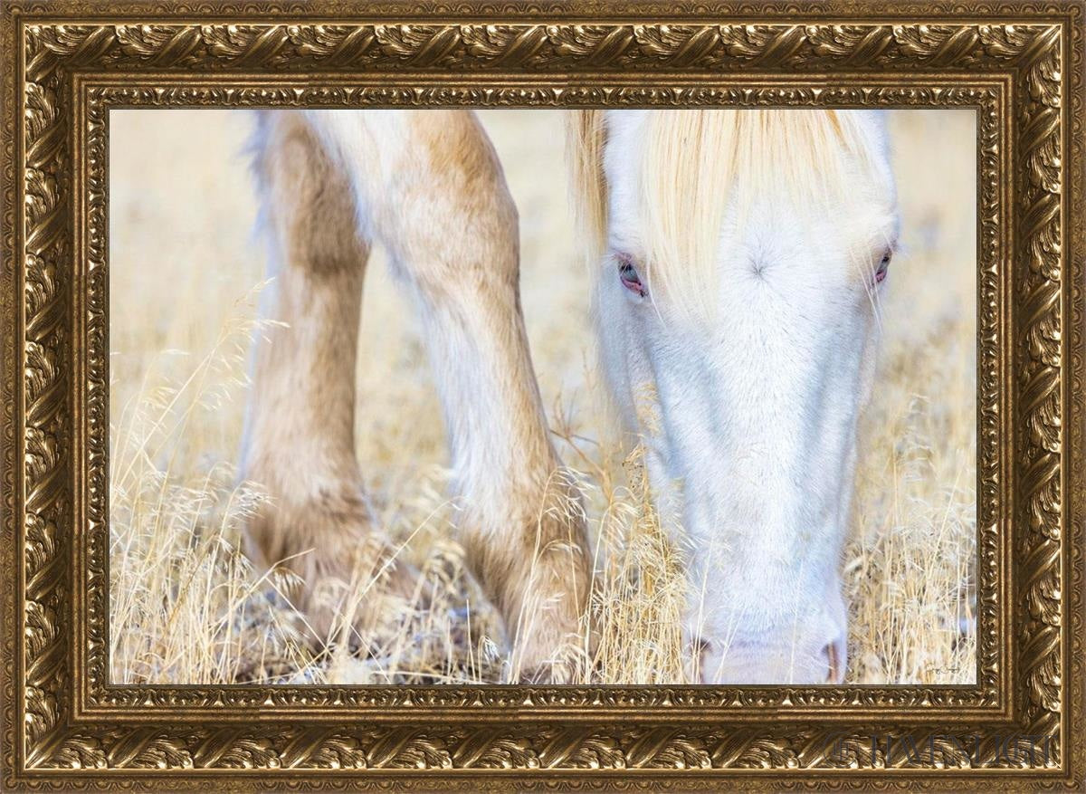 Dry Grass by Greg Sargent - Premium Handcrafted Home Decor for Rustic & Farmhouse Style - Perfect for Wall Art, Shelf Displays & Cozy Living Room Decor