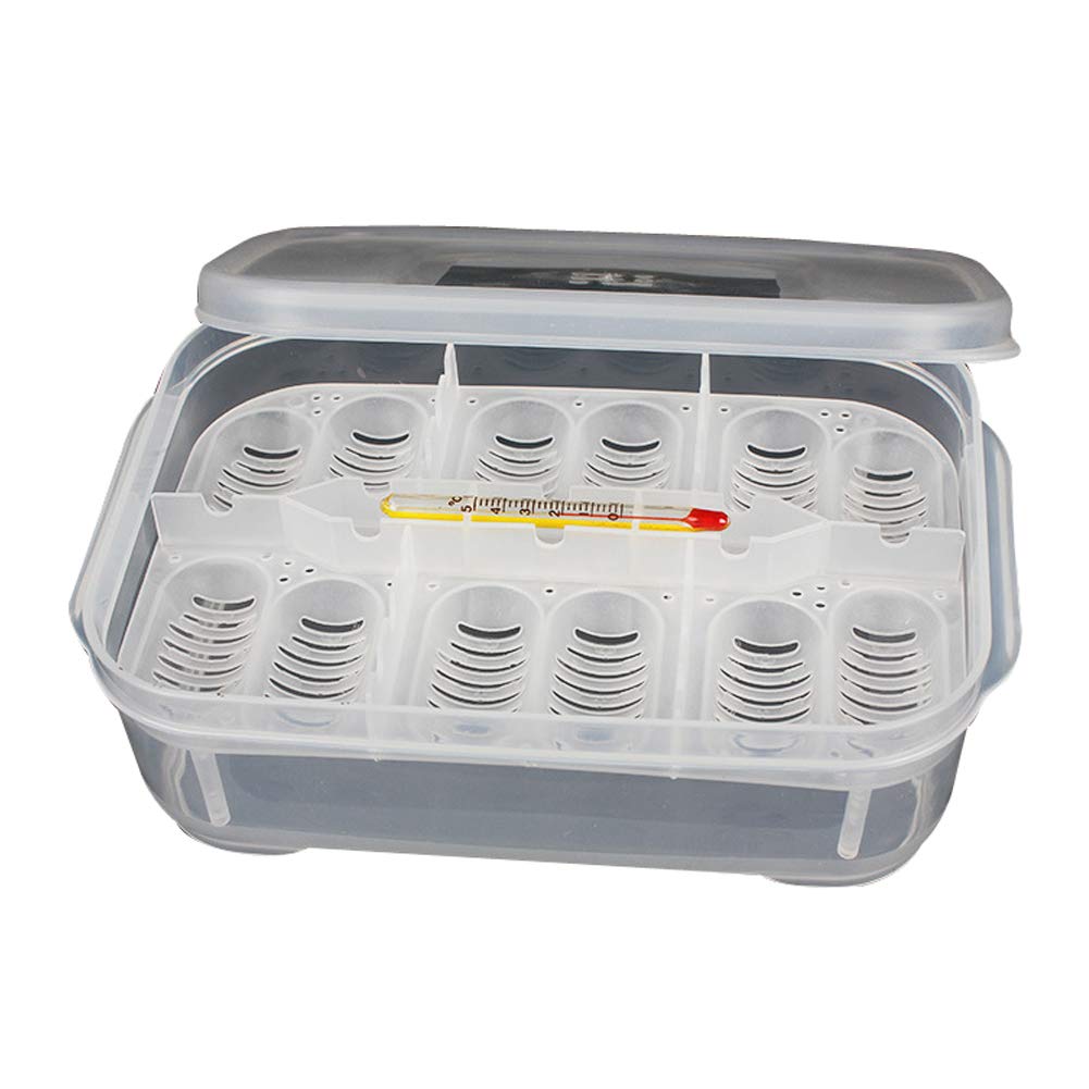 OMEM Reptile Breeding Box - Transparent Reptile Egg Incubator with Thermometer for Hatching Gecko, Lizards, Lion's Mane & Other Reptiles | Perfect for Home Breeding, Pet Store & Classroom Science Projects