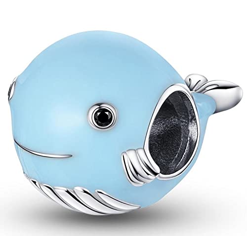 RUKYF Sterling Silver Bead Charms for Women & Girls - Jewelry Making Supplies for Bracelets & Necklaces - Perfect for DIY Crafts, Gift Giving & Everyday Wear