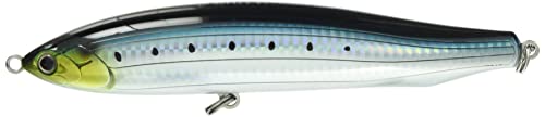 sardine