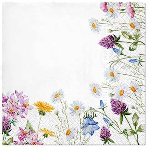 Spring Flowers