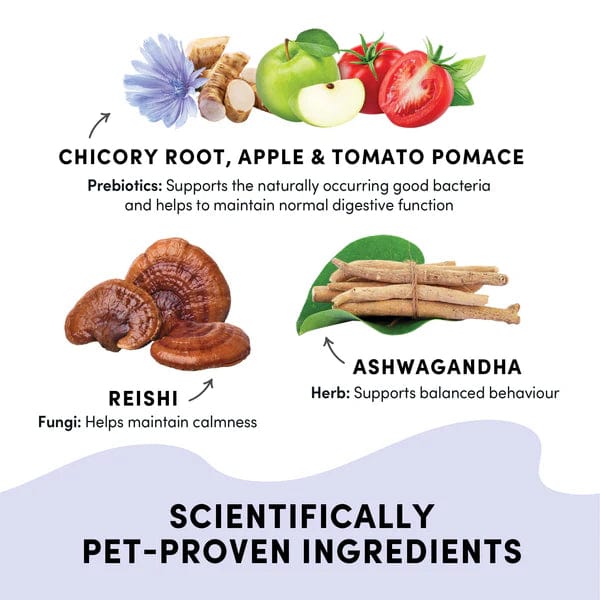 Crump's Naturals Gutsy Calm Bites for Dogs – Natural Stress & Anxiety Relief Chews – Special Order Item – Perfect for Travel, Vet Visits & Thunderstorms