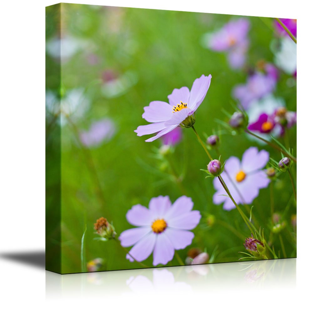 Pink Cosmos Flowers Canvas Prints - 12x12 Inch Modern Wall Art, Stretched Gallery Wrap Giclee Ready to Hang | Home Decor for Living Room, Bedroom & Office