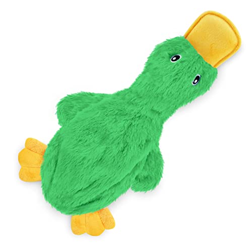 aCrinkle Duck (Light Green)