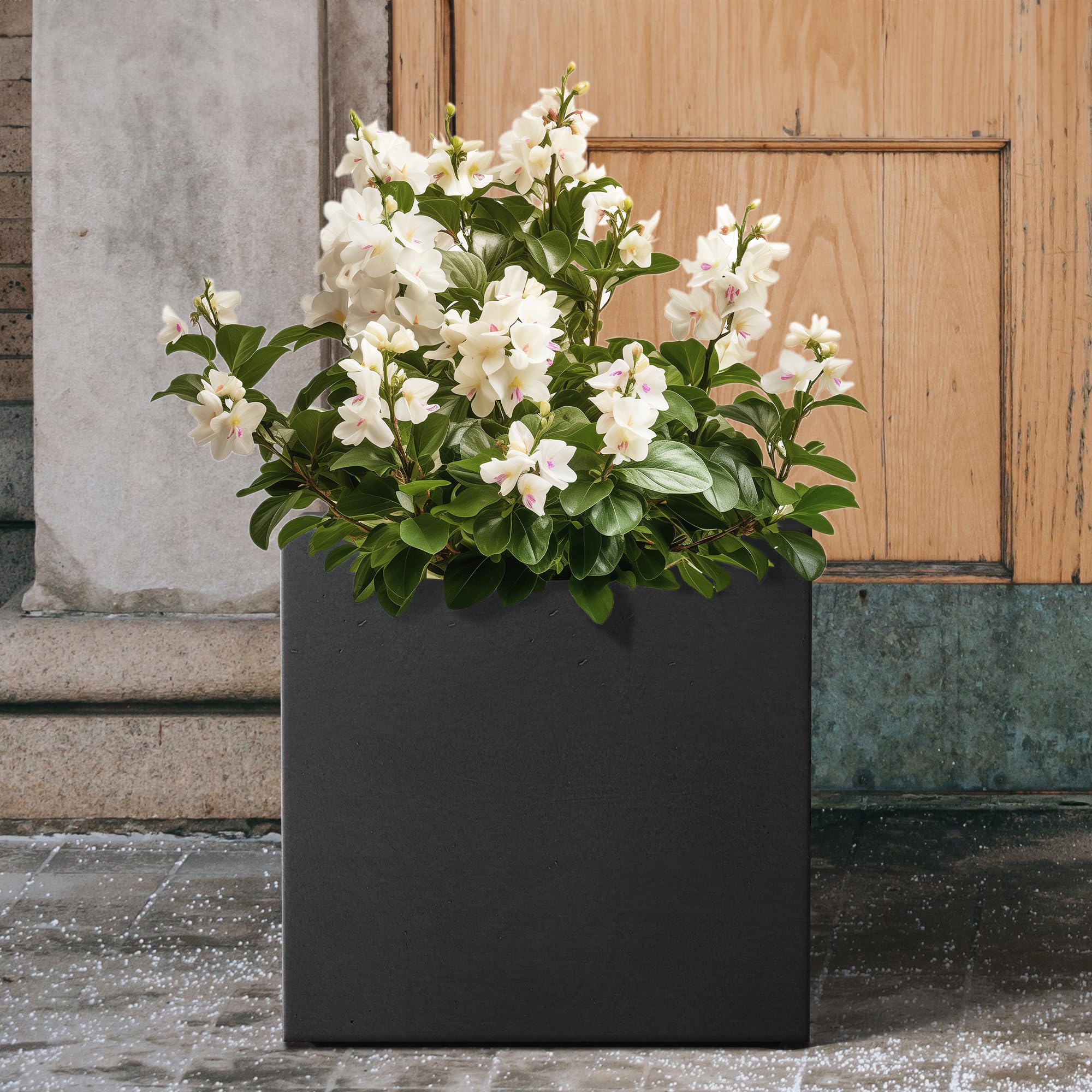 12 Inch Square Concrete Planter for Indoor & Outdoor Use - Large Modern Plant Pot with Drainage Hole & Rubber Plug - Perfect for Home, Patio, Garden, Office Decor (Black)