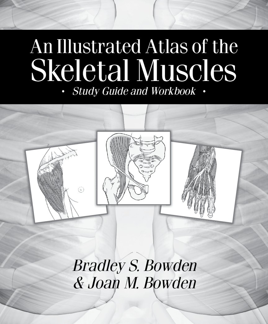 Anatomy Study Guide: Illustrated Atlas of Skeletal Muscles - Workbook for Medical Students & Healthcare Professionals | Perfect for Classroom Learning & Clinical Reference