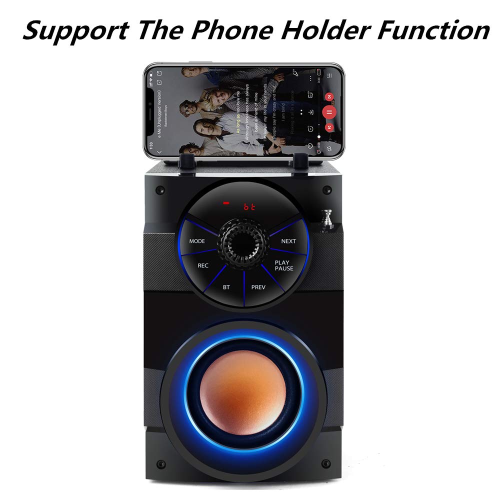 TAMPROAD Portable Bluetooth Speaker with Subwoofer - Wireless Speaker with Rich Bass, FM Radio & Remote Control for iPhone, Android, PC, TV - Perfect for Outdoor, Indoor, Party & Home Entertainment