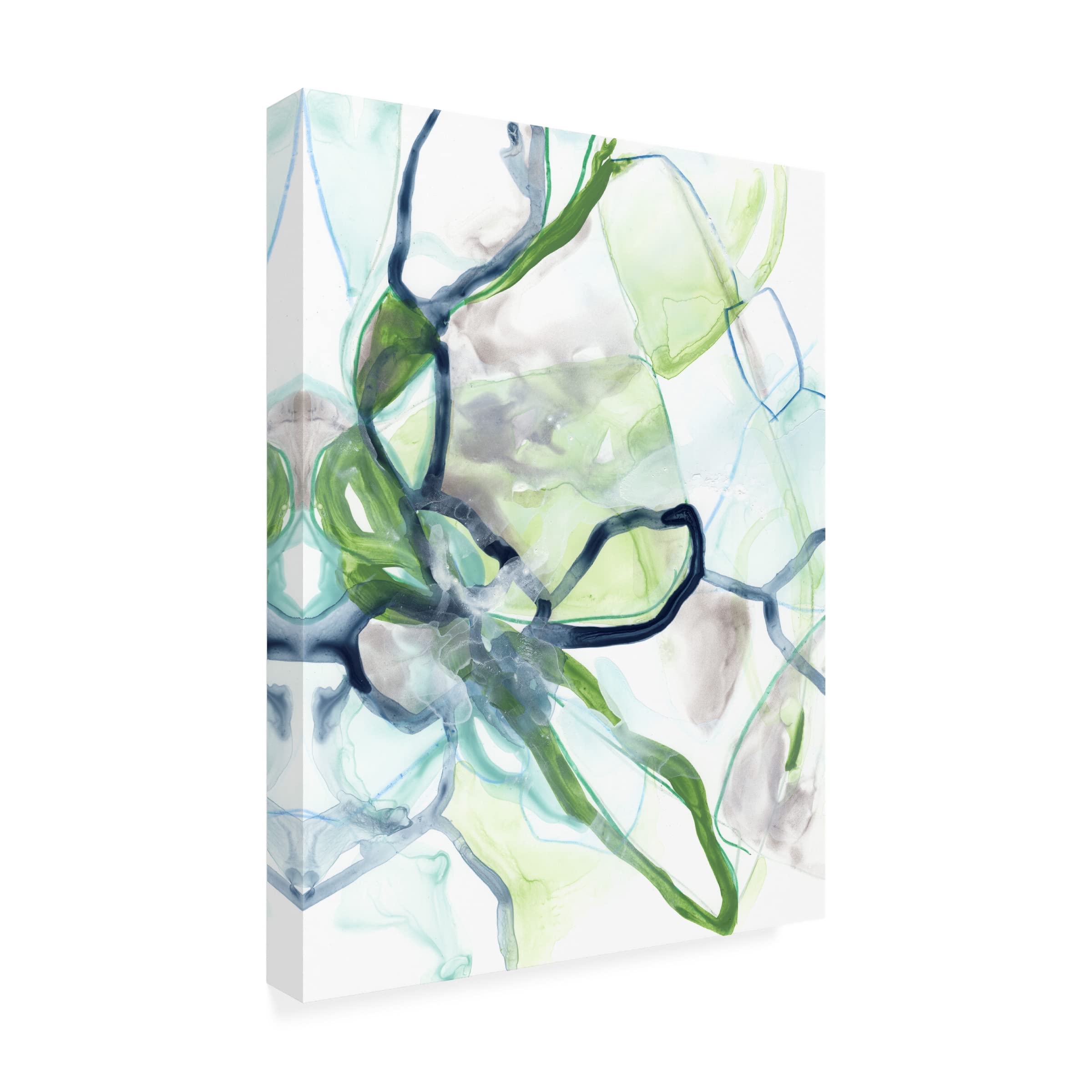 Trademark Fine Art 'Hive Cycle I' Canvas Wall Art Print by June Erica Vess - Modern Home Decor for Living Room, Bedroom & Office