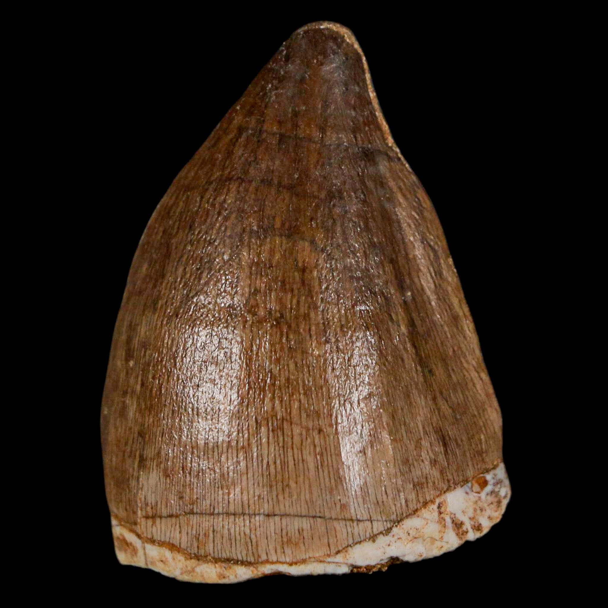 1.5