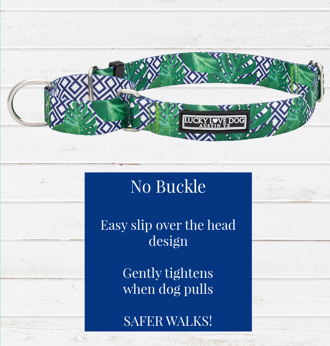 Laguna Blue Martingale Dog Collar - Adjustable Nylon Martingale Collar for Training & Walking, Perfect for Small to Medium Dogs - Ideal for Daily Walks, Training Sessions, and Outdoor Adventures