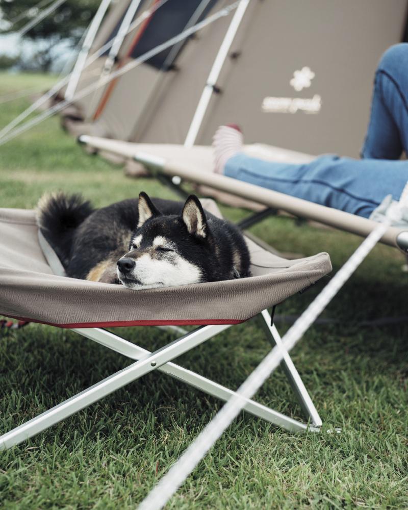 Premium Elevated Dog Cot - Comfortable & Durable Outdoor Pet Bed for Large & Small Dogs - Perfect for Camping, Backyard & Indoor Use