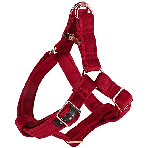 Christmas red