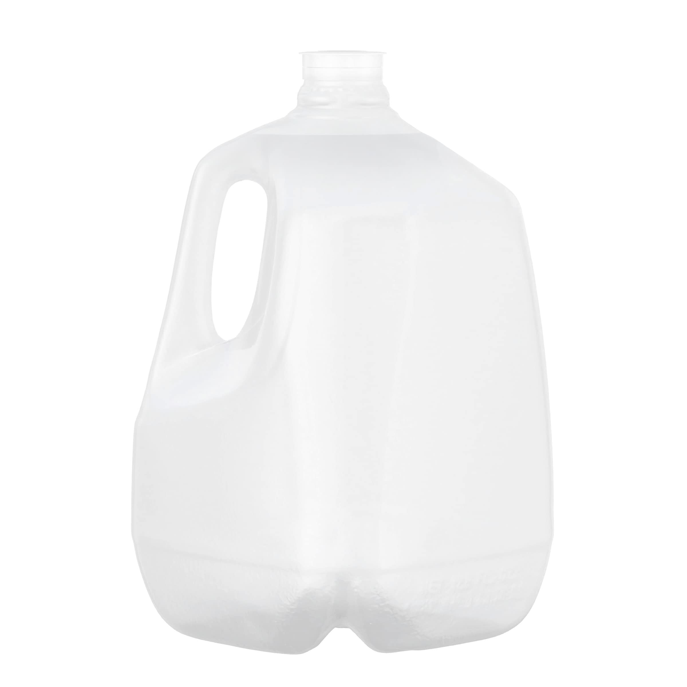 Poland Spring Natural Spring Water - 1 Gallon Jug (Pack of 1) | Pure, Refreshing Drinking Water for Home, Office & Outdoor Activities