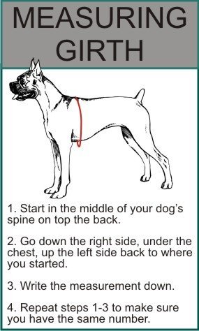No Pull Service Dog Harness with Reflective Straps & Removable Training Patches - Adjustable Nylon Guide Harness for Assistance Dogs (Medium 22-29