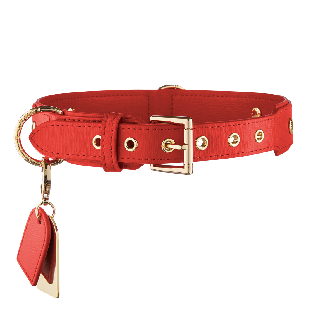Premium Red Leather Dog Collar with Rhinestones - Adjustable & Comfortable for Small to Medium Dogs - Perfect for Walks, Training & Special Occasions