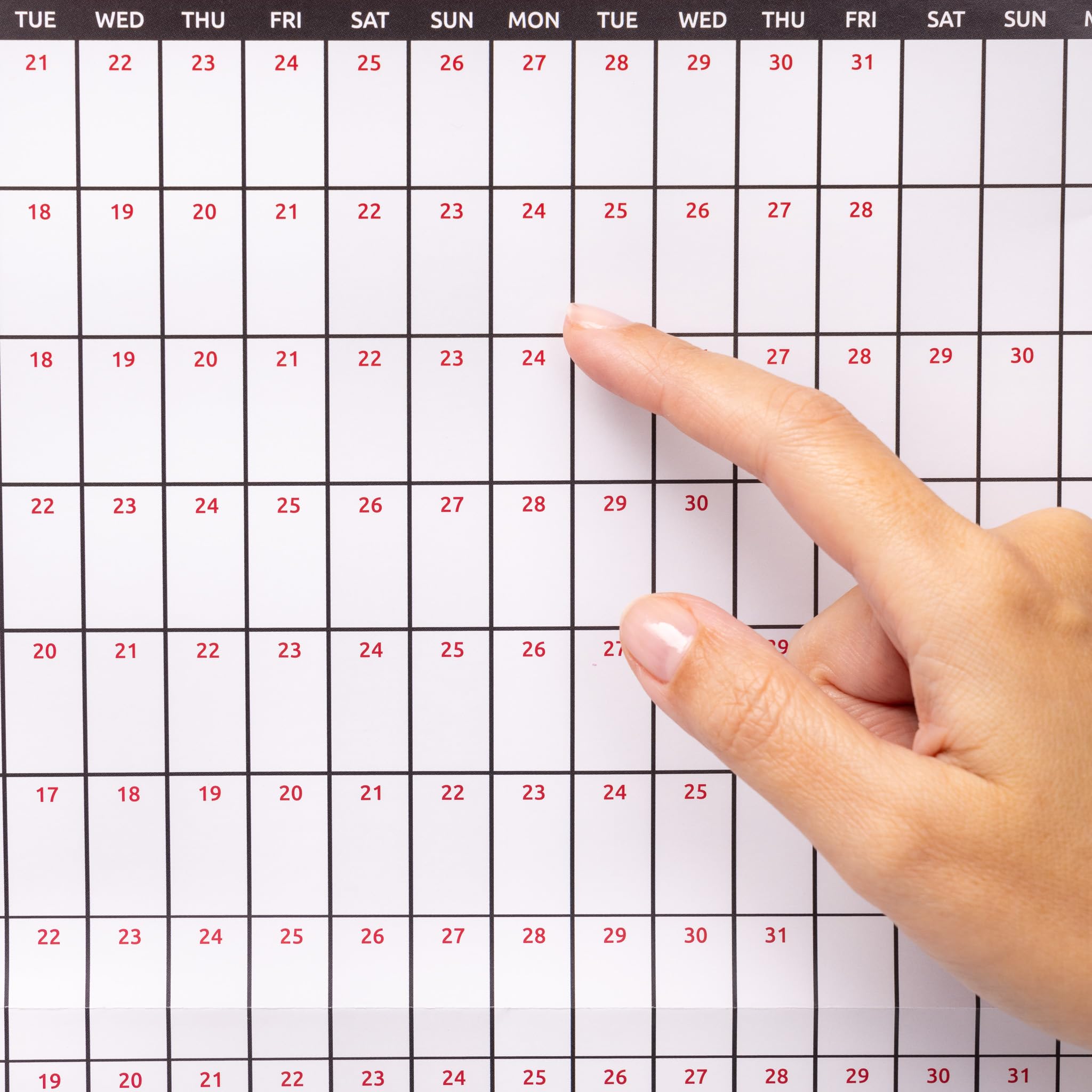 Evelay 2025 Wall Calendar Planner - A2 Size (59.4cm x 42cm) | Full Year at a Glance | Perfect for Home, Office, School & Work Organization | Wall-Mountable for Easy Planning & Productivity