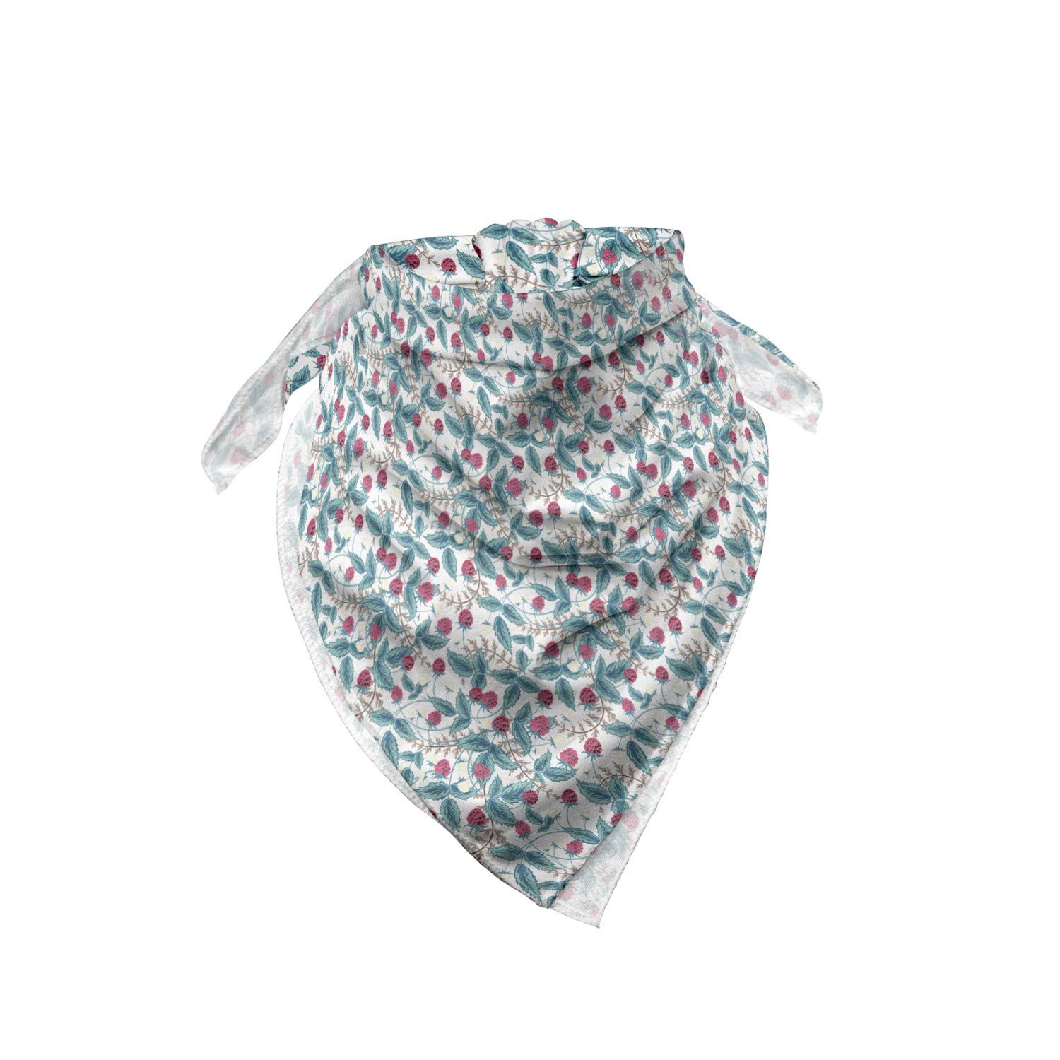 Ambesonne Raspberry Fruit Bandana - Unisex Head & Neck Scarf for Spring & Summer - Perfect for Outdoor Activities, Hiking, and Fashion Accessories