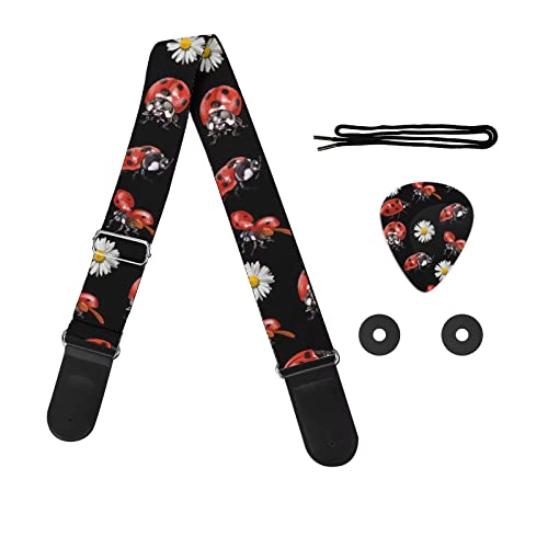 Ladybug Daisy