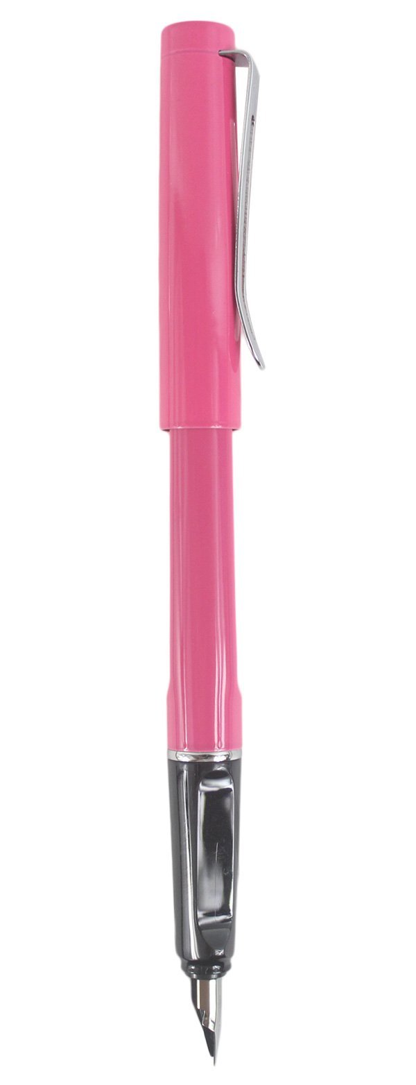 Classic Plastic Fountain Pen - Vibrant Colors, Elegant Gift Box with Rose - Perfect for Writing, Calligraphy, and Thoughtful Gifts