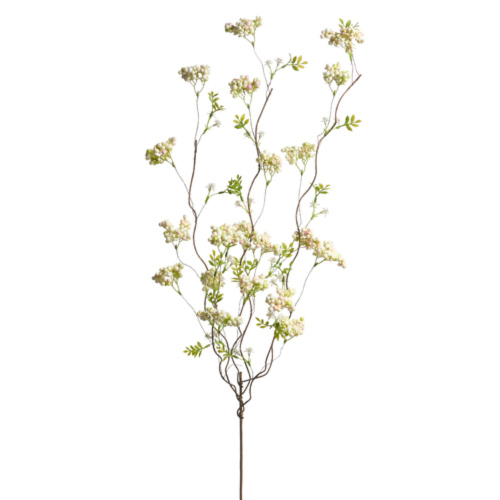 36 White Sedum Berry Branches - Fresh Floral Stems for DIY Wedding Bouquets, Home Decor, and Centerpieces - In Store Pickup Only