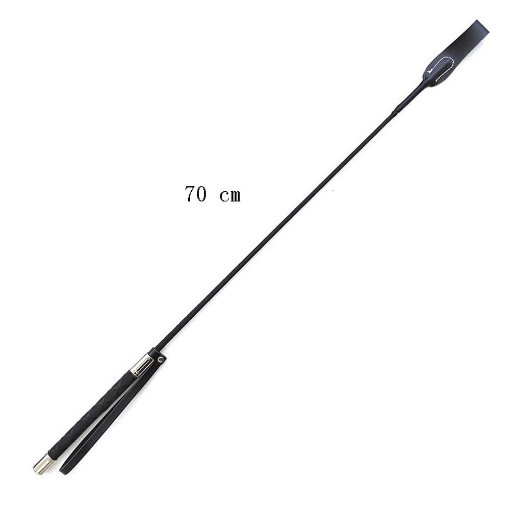 BOLLAER Dog Training Whip - Durable Dog Play Stick for Obedience Training, Agility Exercises & Behavior Correction - Perfect for Puppy Training, Outdoor Activities & Pet Bonding