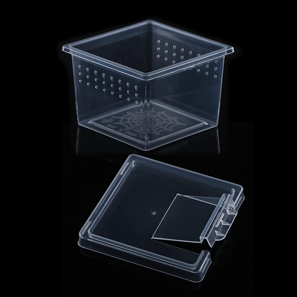 10 Pcs Clear Acrylic Insect Spider Terrarium - Small Reptile Scorpion Centipede Breeding Box for Hatching & Observation | Perfect for Pet Enclosures, Science Projects & Home Decor