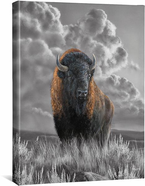 Distant Thunder Bison - Premium Bison Meat for Sale | High-Quality, Lean & Tender | Perfect for Grilling, Stews & Healthy Meals
